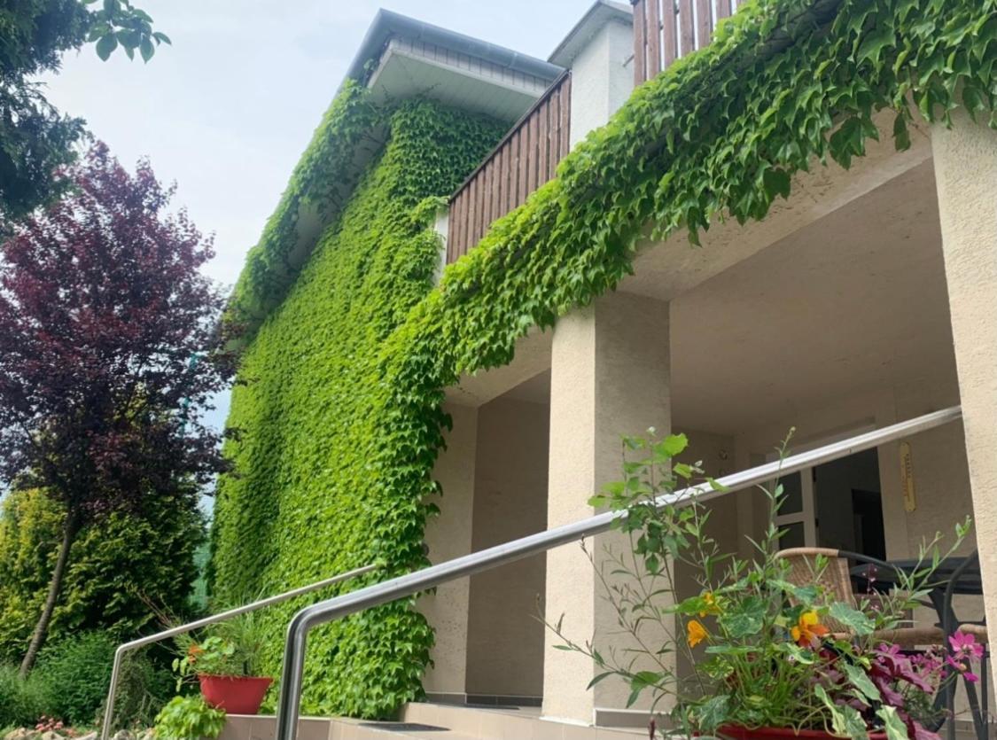 Hotel Dom v Záhrade Podhájska Exterior foto
